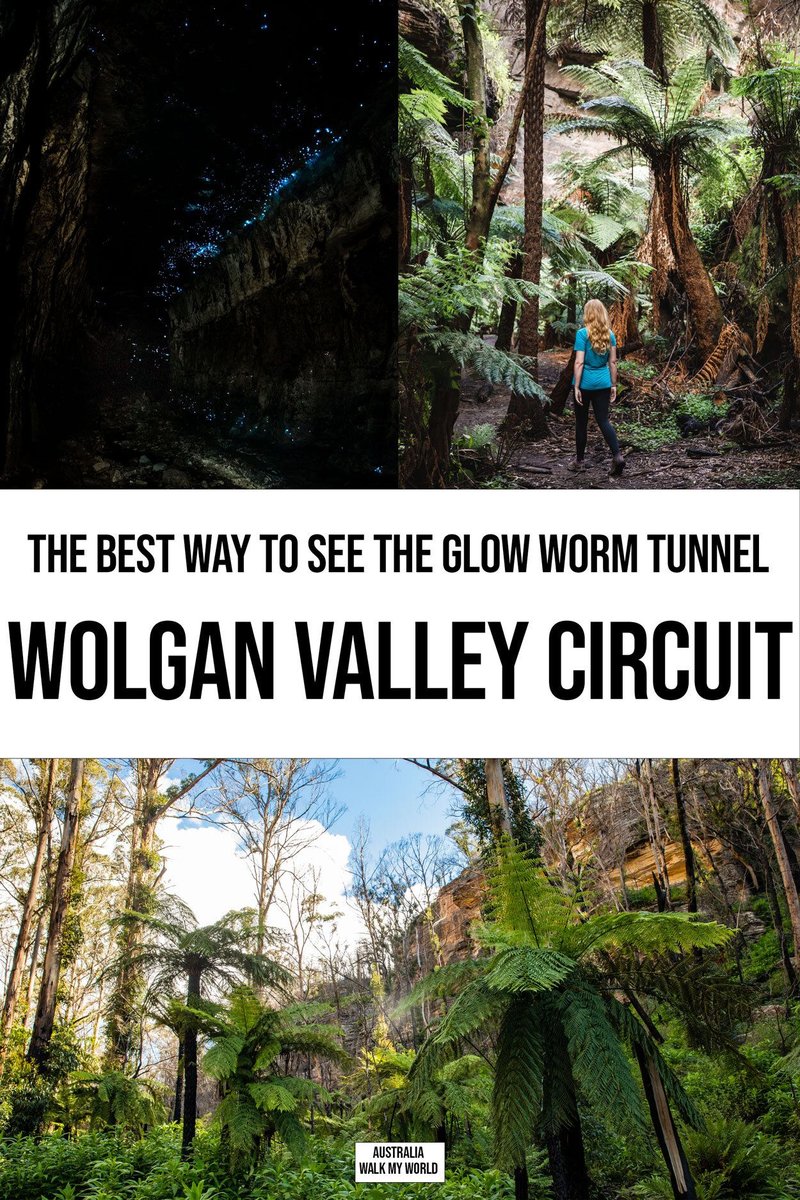 Glow Worms On Nature Trails: Signage And Protection