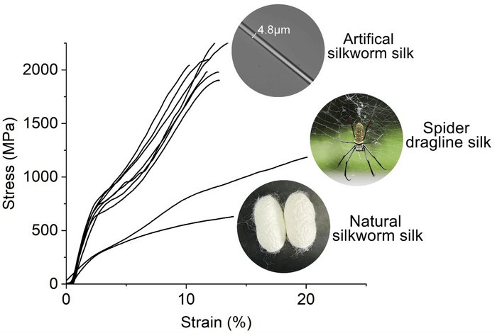 How Silkworms React To Environmental Stress