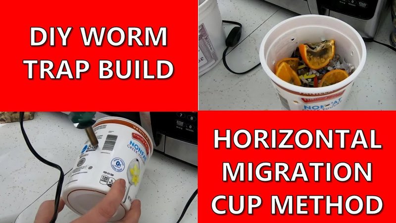 How To Build A Diy Trap For Capturing Bobbit Worms