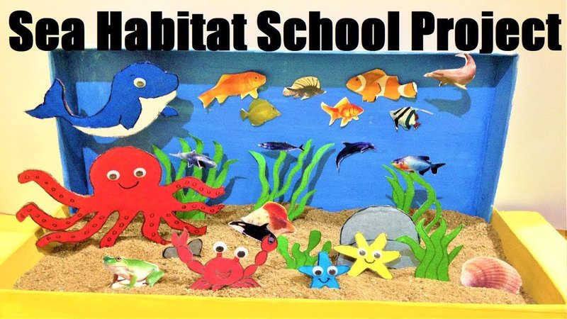 How To Build A School Project Habitat For Inchworm Study