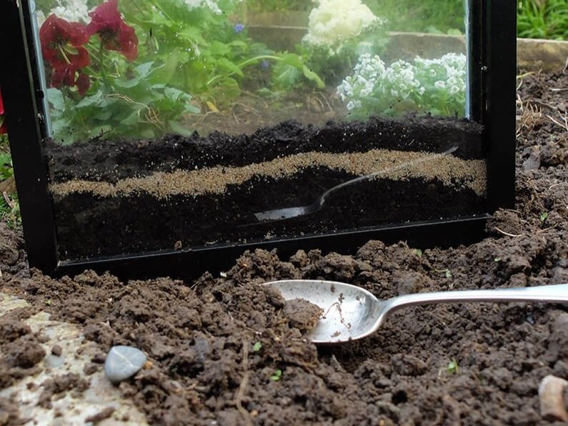 How To Build An Earthworm Observation Station