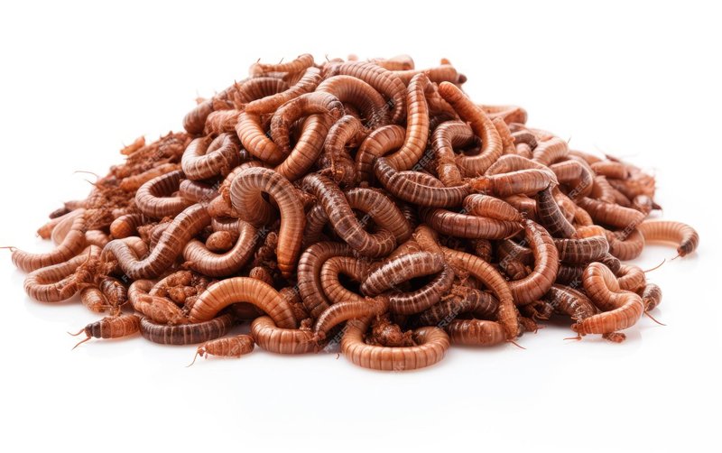 How To Identify A Microworm In Its Natural Habitat