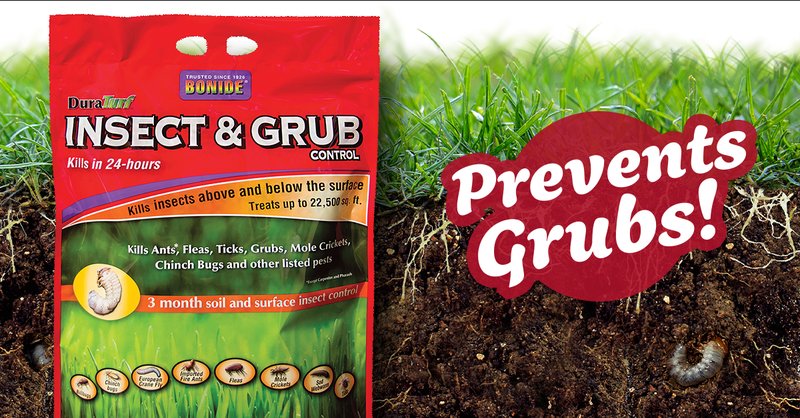 How To Prevent Grub Worms Without Chemicals