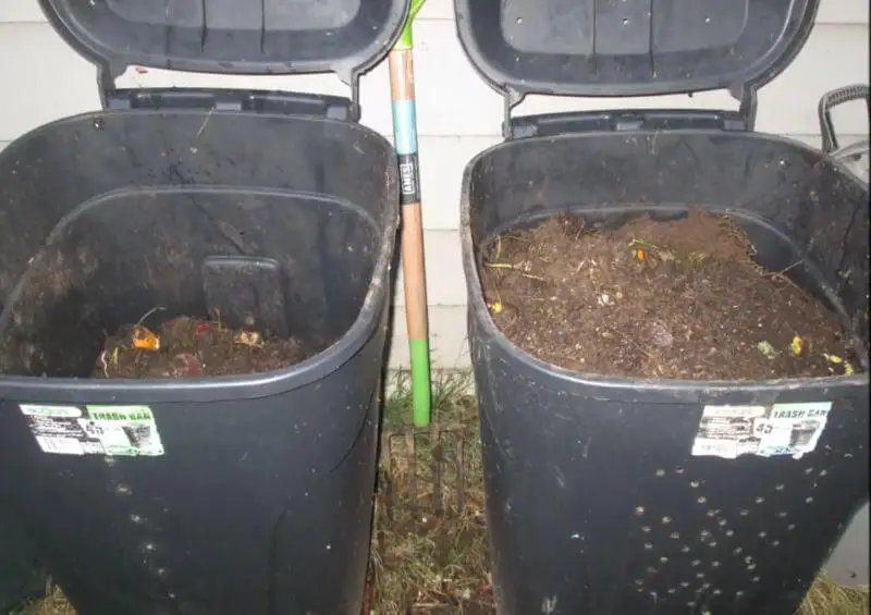 How To Start A Worm Bin For Kitchen Waste