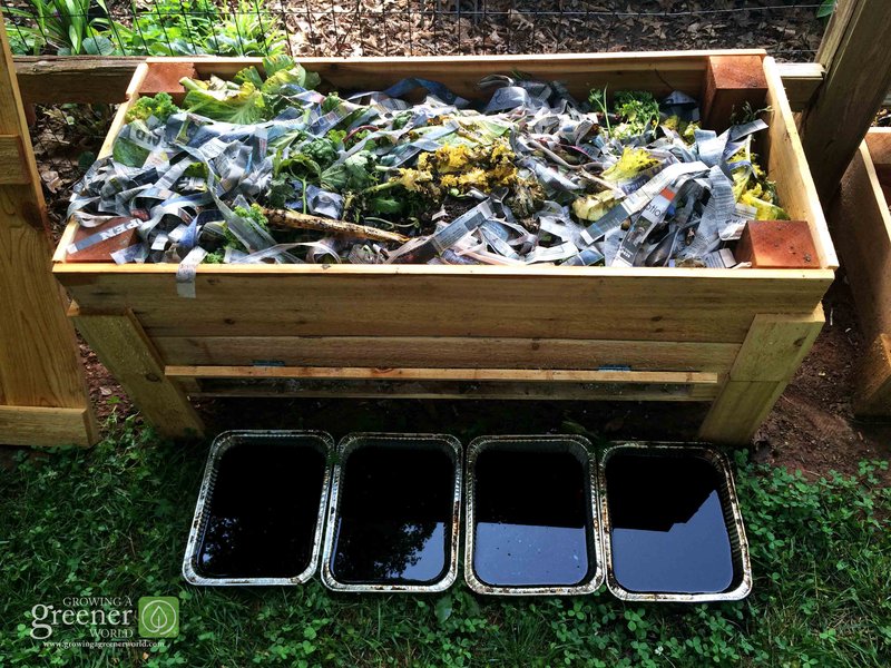 How To Start A Worm Bin For Kitchen Waste