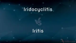 Inchworm Behavior In The Wild: Day Vs. Night Activity