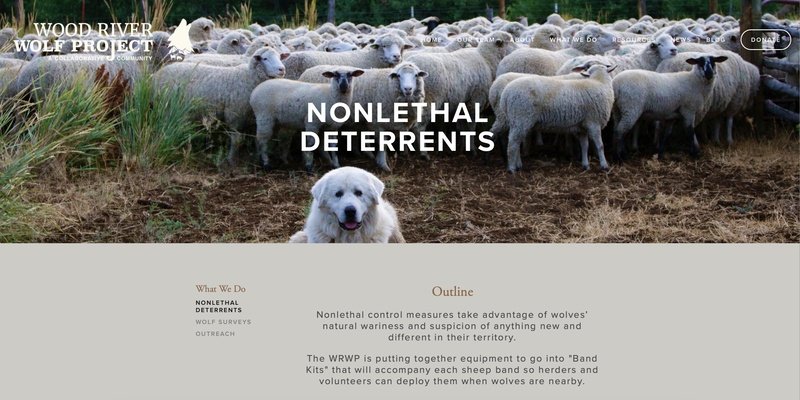 Non-Lethal Studies Of Wolf Worm Impact On Wildlife