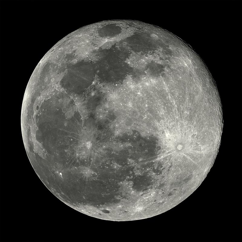 Observing Glow Worms During A Full Moon
