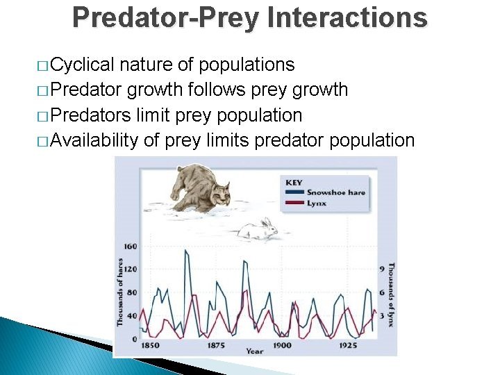 Predators And Environmental Threats To Acanthocephala Populations