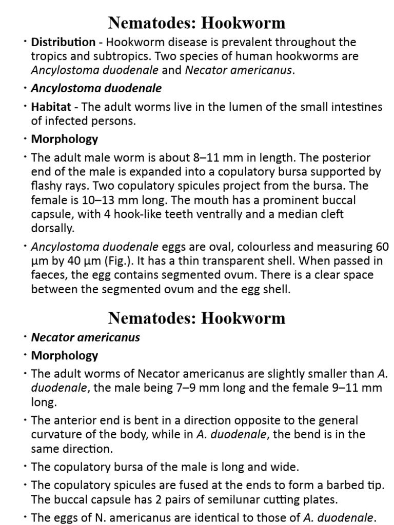 Predators And Environmental Threats To Hookworm Populations
