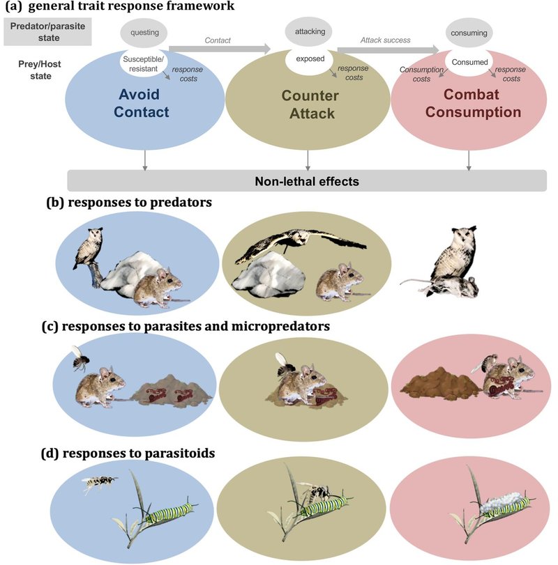 Predators And Environmental Threats To Microworm Populations
