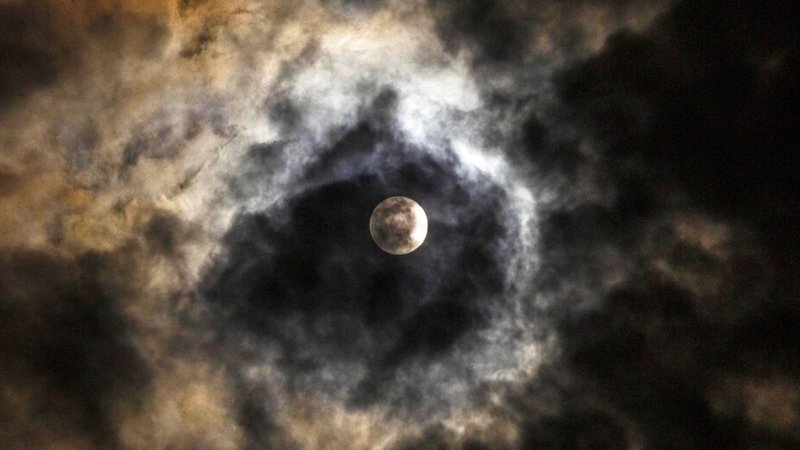 Ribbon Worm Sightings During Full Moon Tides