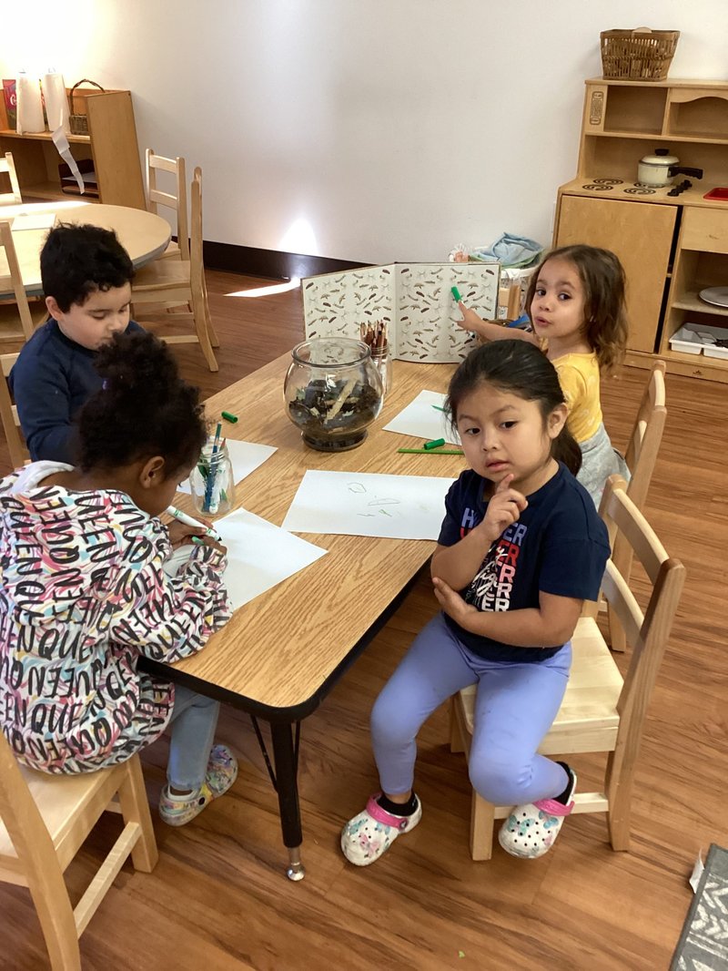 Safely Observing Wolf Worm Activity In Natural Habitats