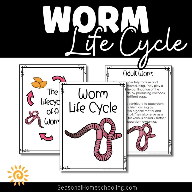 Seasonal Life Cycle Patterns Of Hammerhead Worms