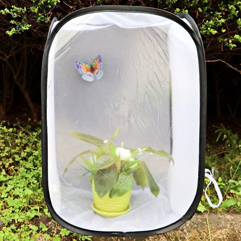 Silkworm-Friendly Enclosures For Schools And Hobbyists