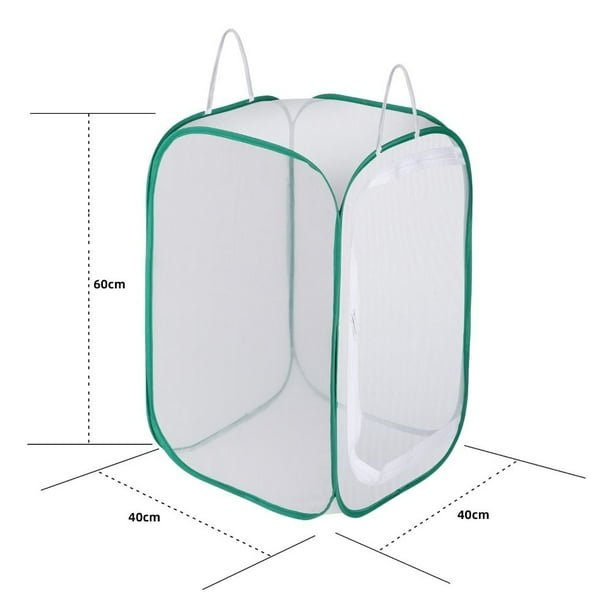 Silkworm-Friendly Enclosures For Schools And Hobbyists