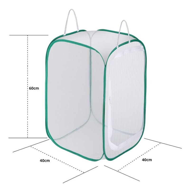 Silkworm-Friendly Enclosures For Schools And Hobbyists