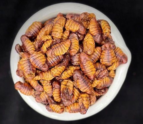 Silkworm Pupae As Protein Sources For Animal Feed