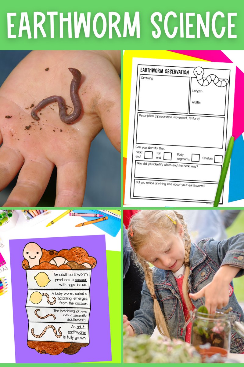 Teaching Kids About Earthworms: Fun Lesson Ideas