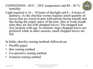 Temperature And Humidity Needs For Silkworm Rearing