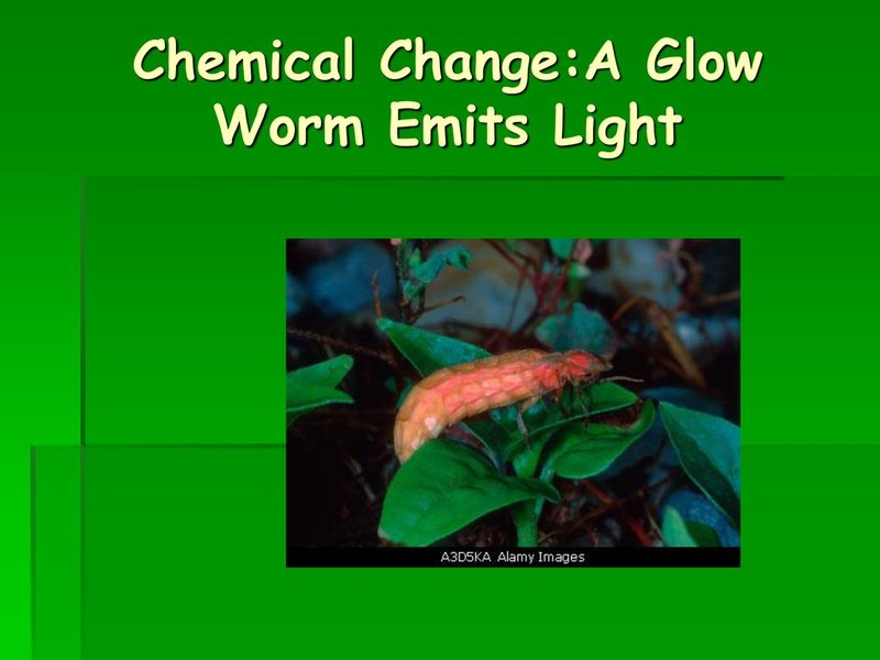 The Chemistry Of Glow Worm Light Production