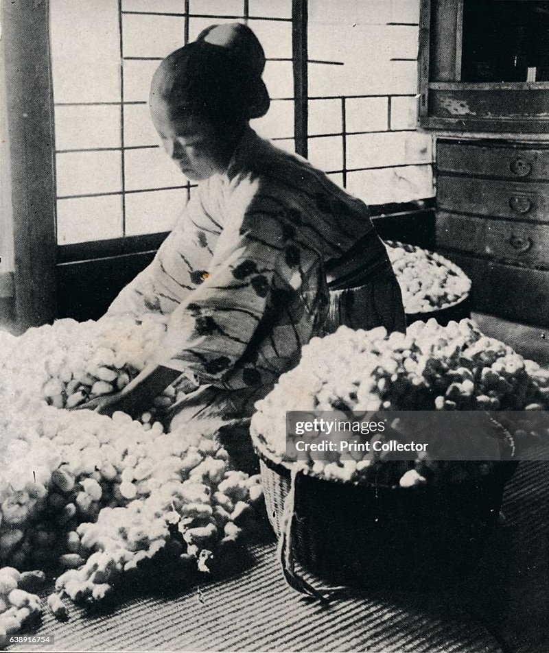 The History Of Silk Production Using Silkworms