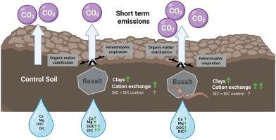 The Role Of Earthworms In Carbon Sequestration