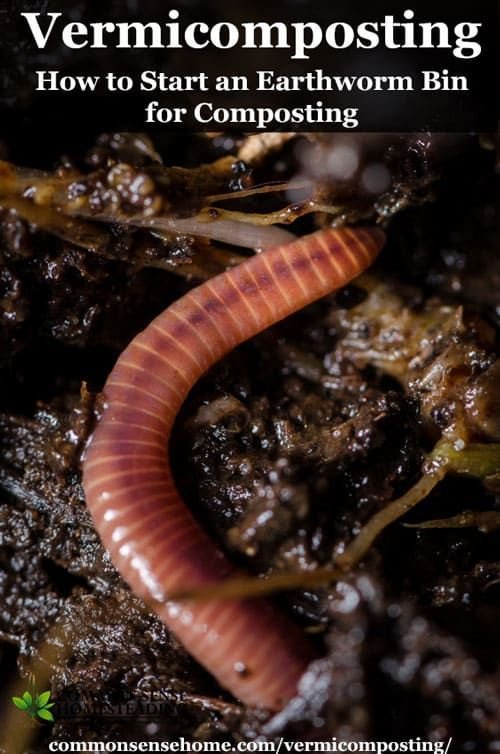 Top 5 Earthworm Species For Vermicomposting