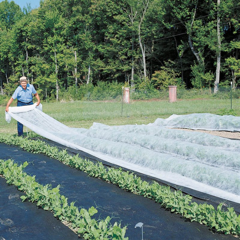 Using Floating Row Covers To Prevent Hornworm Access
