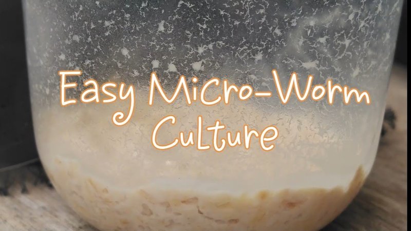 Using Microworm In School Science Demonstrations