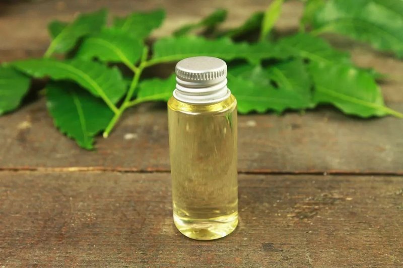Using Neem Oil Against Hornworm Larvae