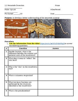 Using Roundworm In School Science Demonstrations