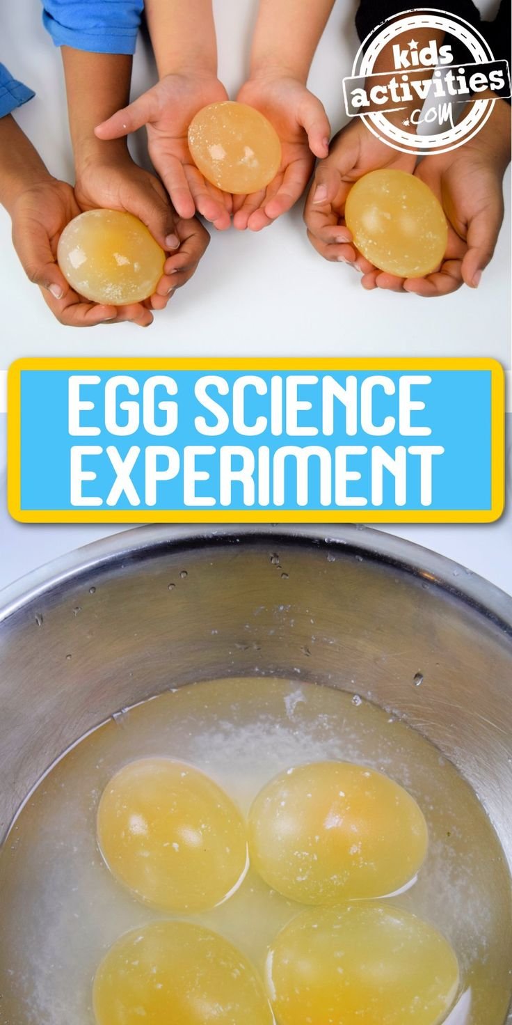 Using Vinegar Eel In School Science Demonstrations