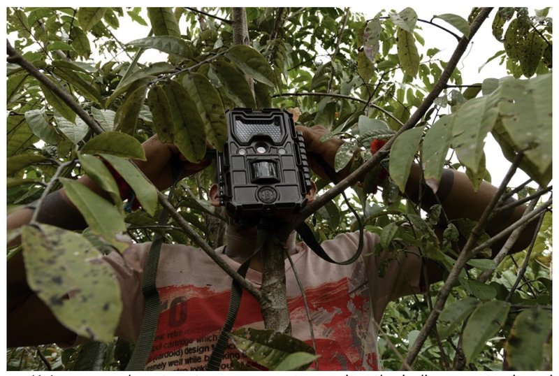 Using Wildlife Cameras To Monitor Botfly Activity