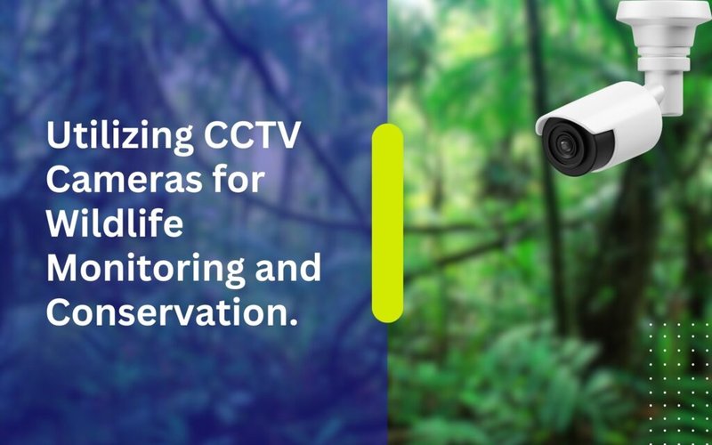 Using Wildlife Cameras To Monitor Botfly Activity