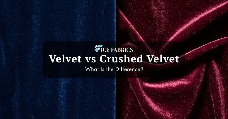 Velvet Worms And Their Place In The Tree Of Life