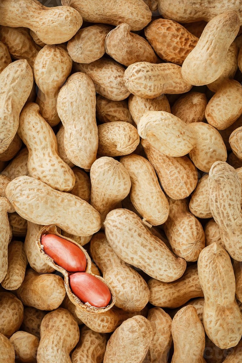 What Is A Peanut Worm? A Naturalist’S Overview