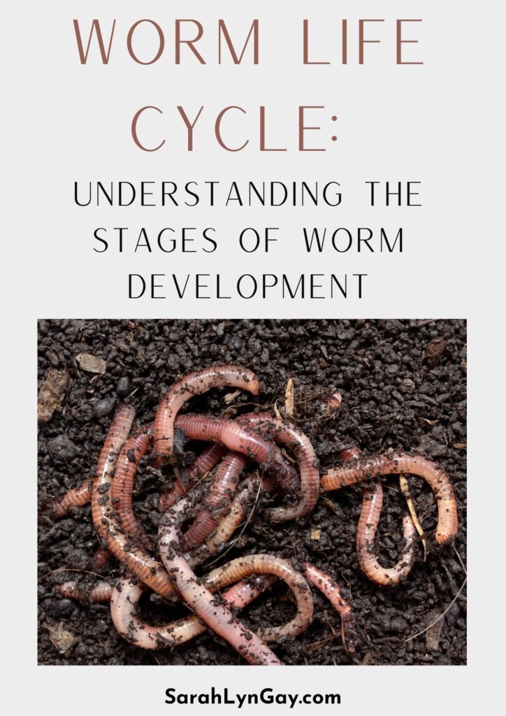 Wolf Worm Development Timelines By Host Species