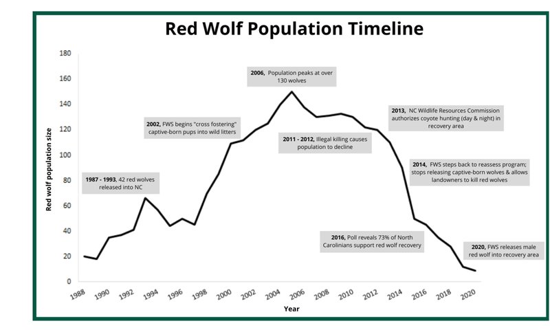 Wolf Worms And Rodent Population Dynamics